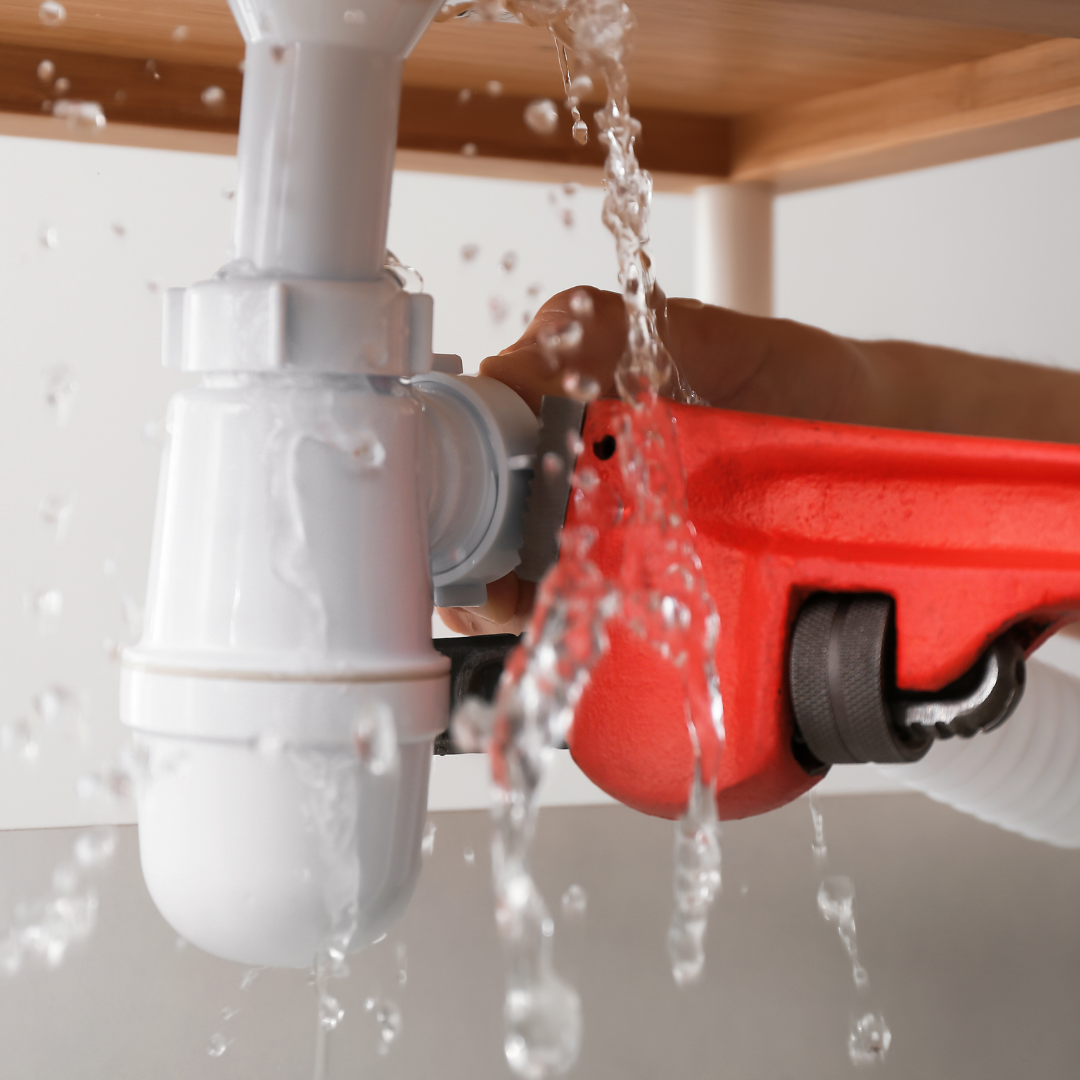 custom solutions for st george